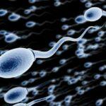 Natural Remedies to Increase Sperm Count