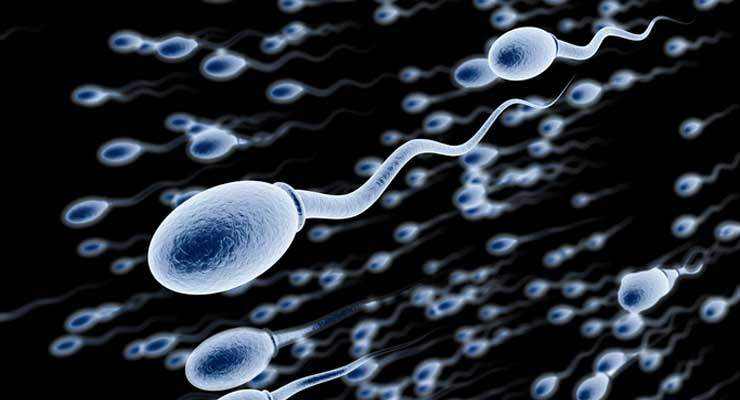Natural Remedies for Increasing Sperm Count