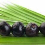 Acai Berry Really Effective in Weight Loss