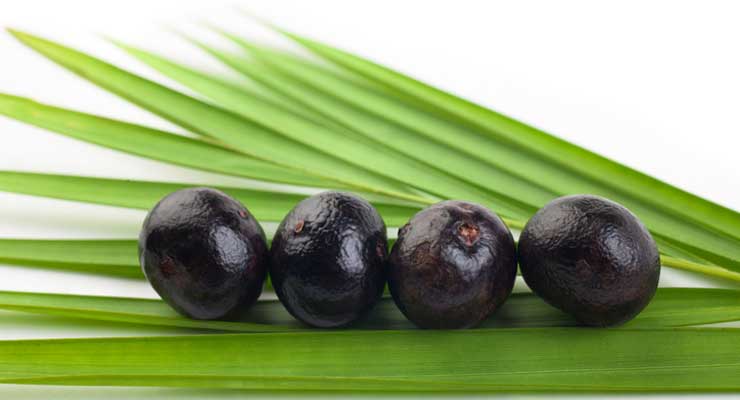 Is the Acai Berry Really Effective in Weight Loss?