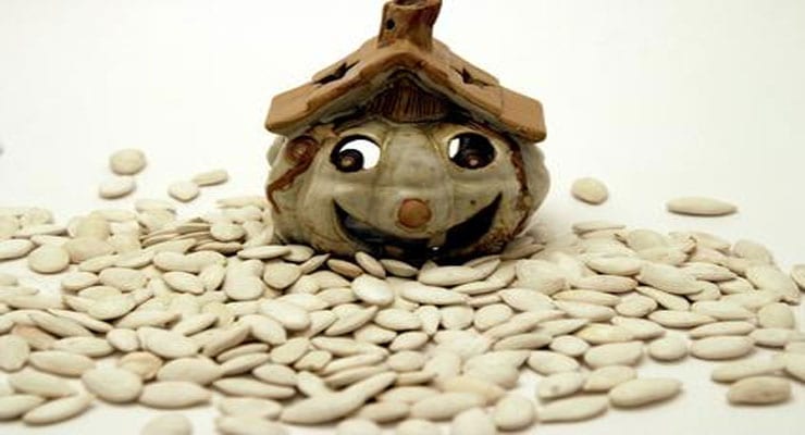 Halloween Craft Projects for Kids