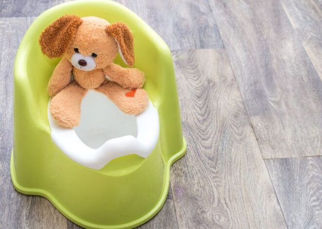 How To Work Through Potty Training Problems