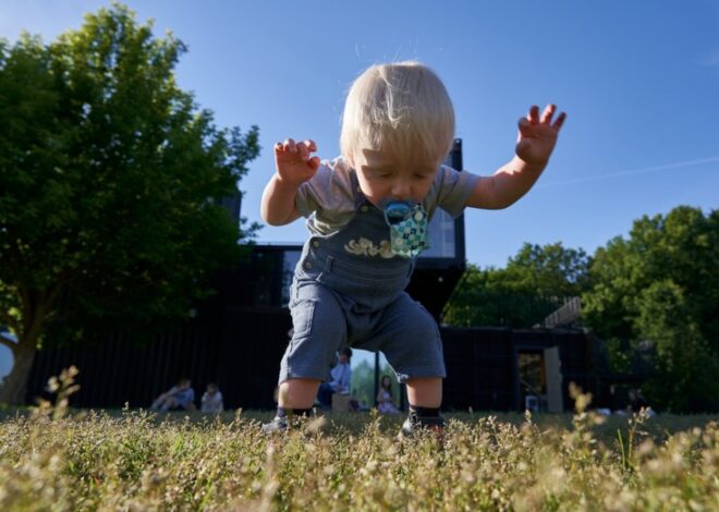 Toddler Motor Skills