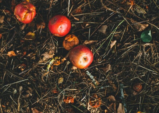 How to Make Your Own Organic Soil