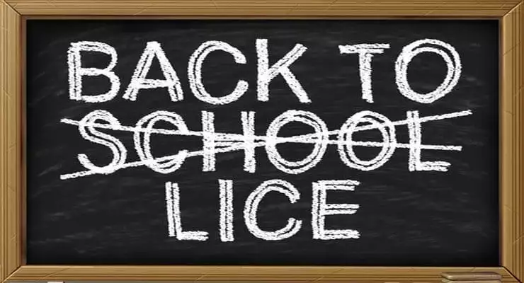 Lice Prevention in Schools