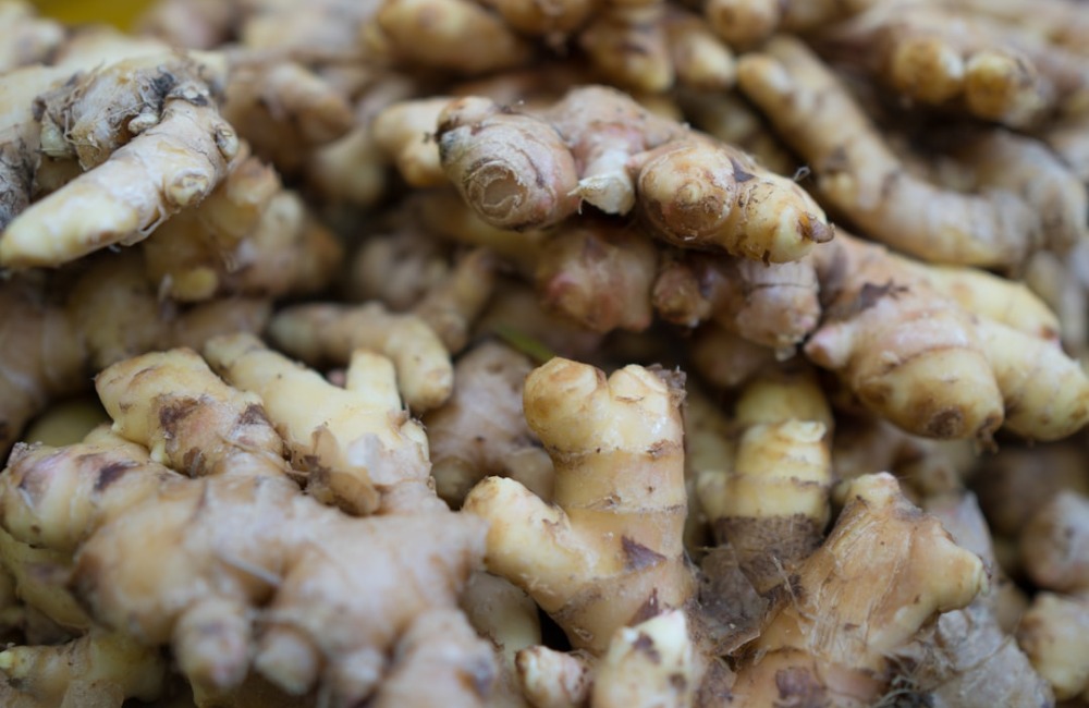 Ginger Root During Pregnancy