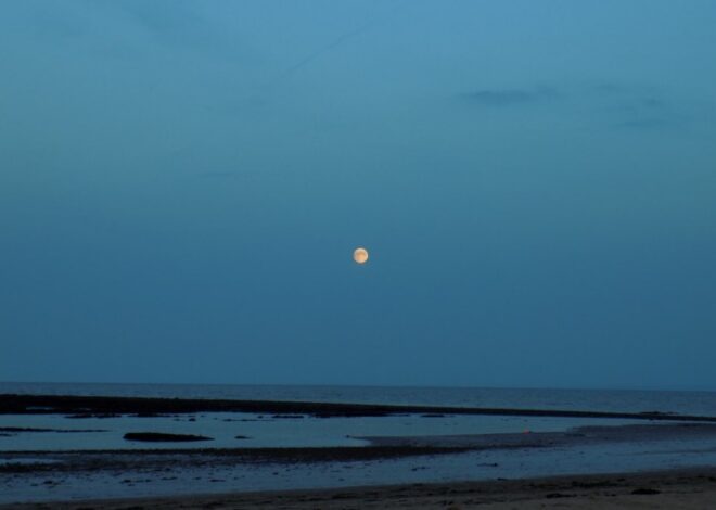 Moon Sign Astrology – July