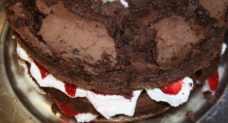 Chocolate Angel Food Cake with Strawberries & Whipped Cream