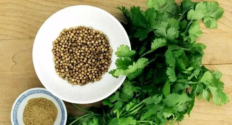 Coriander – the good, the bad, and the ugly