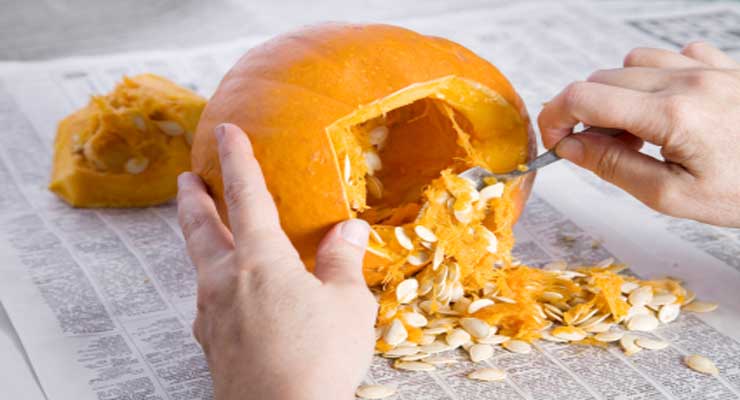 What Do You Do With Pumpkin Pulp?