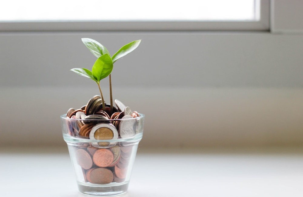 Save Money, Save the Earth: 6 Eco-Friendly Resolutions