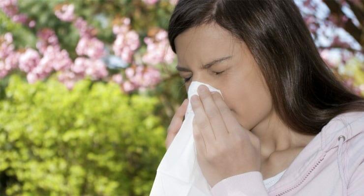 Seasonal Allergies and Breastfeeding Moms