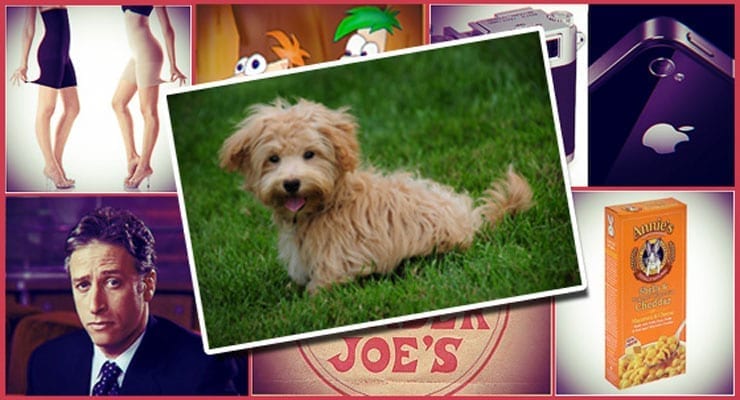 From Trader Joe’s to Spanx, 12 Small Things I’m Thankful For