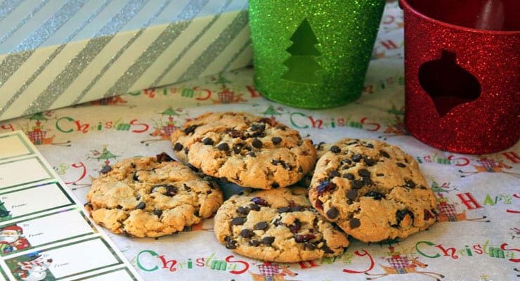 Gluten-Free Oatmeal Cranberry Chocolate Chip Cookies