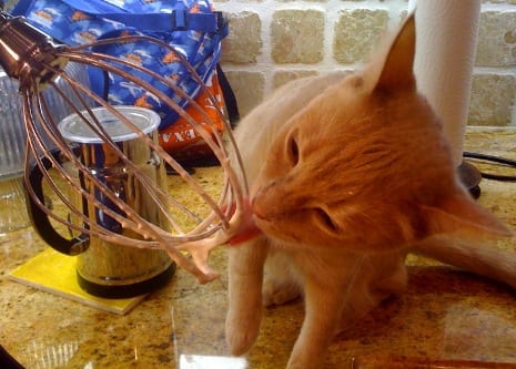 THREE MILKS? PURRRRRRRRRR…