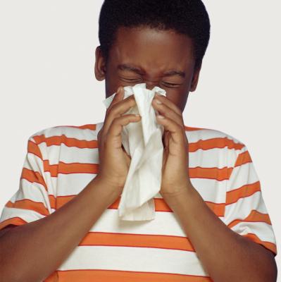 Treatments for Dust Allergies