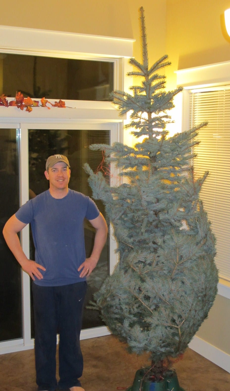 2010 Christmas Tree Adventure