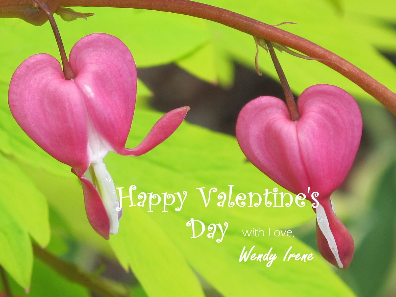 Happy Valentine’s Day with Love 2011