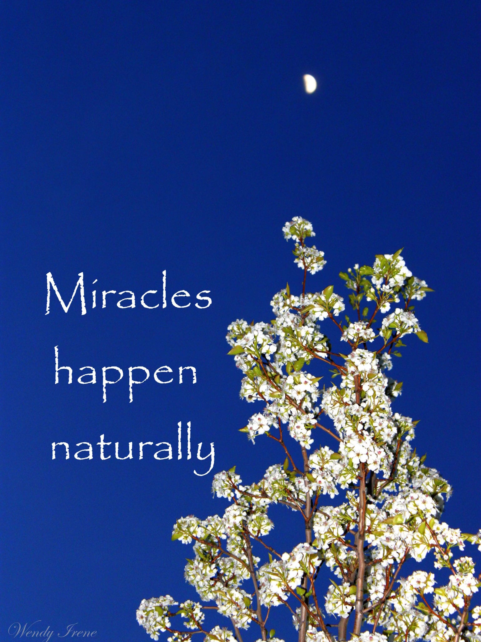 The Wonder of Miracles