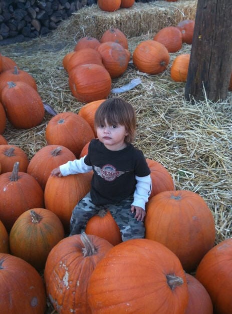 Pumpkin Patch