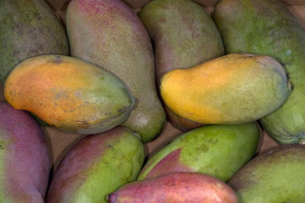 Salmonella Outbreak Linked to Mangoes
