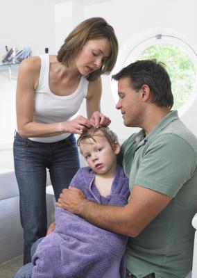 How to Check Kids for Head Lice