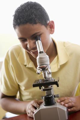Good Microscopes for Children
