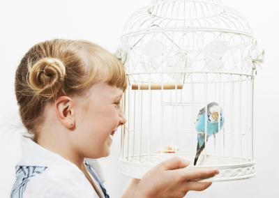 The Best Pet Bird for a Child