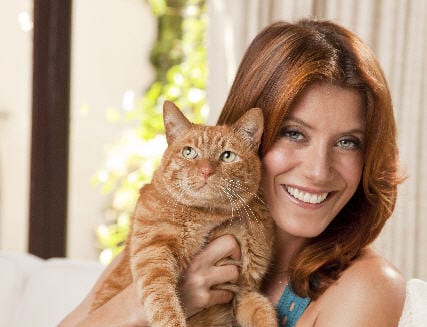 Kate Walsh: Actress and Advocate