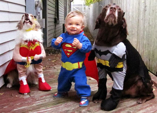 Adorable Pets in Halloween Costumes