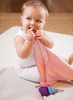 Petites Frites’ Teether Blanket