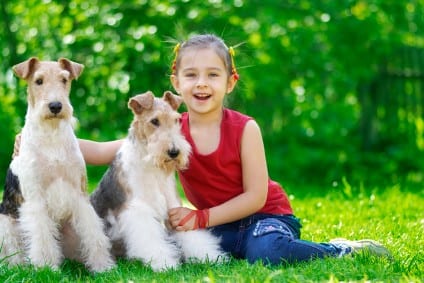 The Best Dog Breeds for Children With Allergies