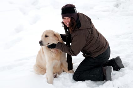 Protect Your Pet from Harsh Winter Weather