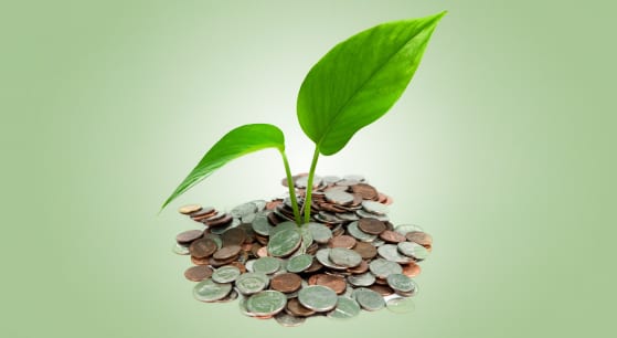 eco-money-green.jpg