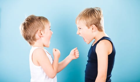 To Defend or Protect? Teaching Kids to Deal With Conflict