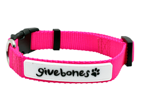 Givebones Pet Collars