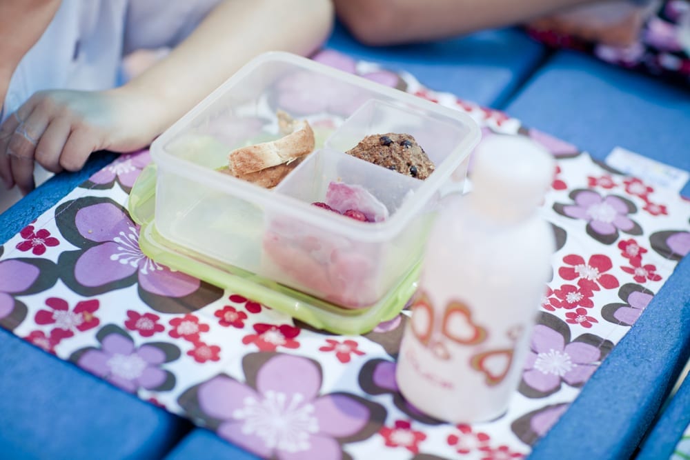 Go Green: Tips for Waste-Free School Lunches