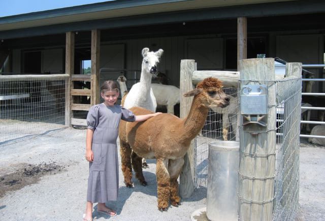 Our Un-Entitled Summer