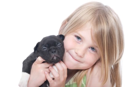 6 Questions to Ask Yourself Before Getting a Family Pet