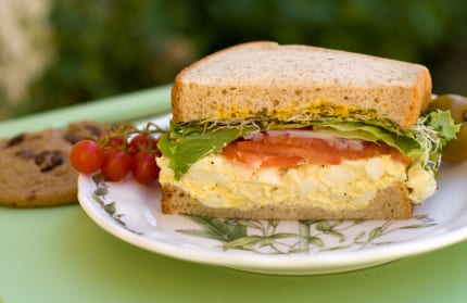 Energy Boosting Egg Salad Sandwich Recipe