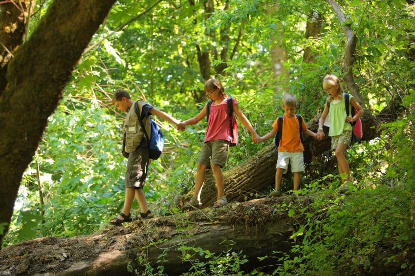 Hug a Tree: Family Safety Rules for Outdoor Vacations