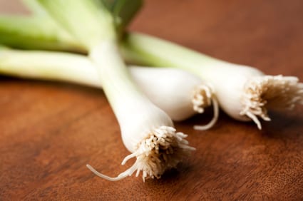 My Favorite New Recipe: Leek Gratin