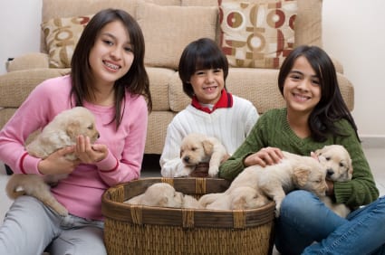 How Kids Can Take Care of a Puppy