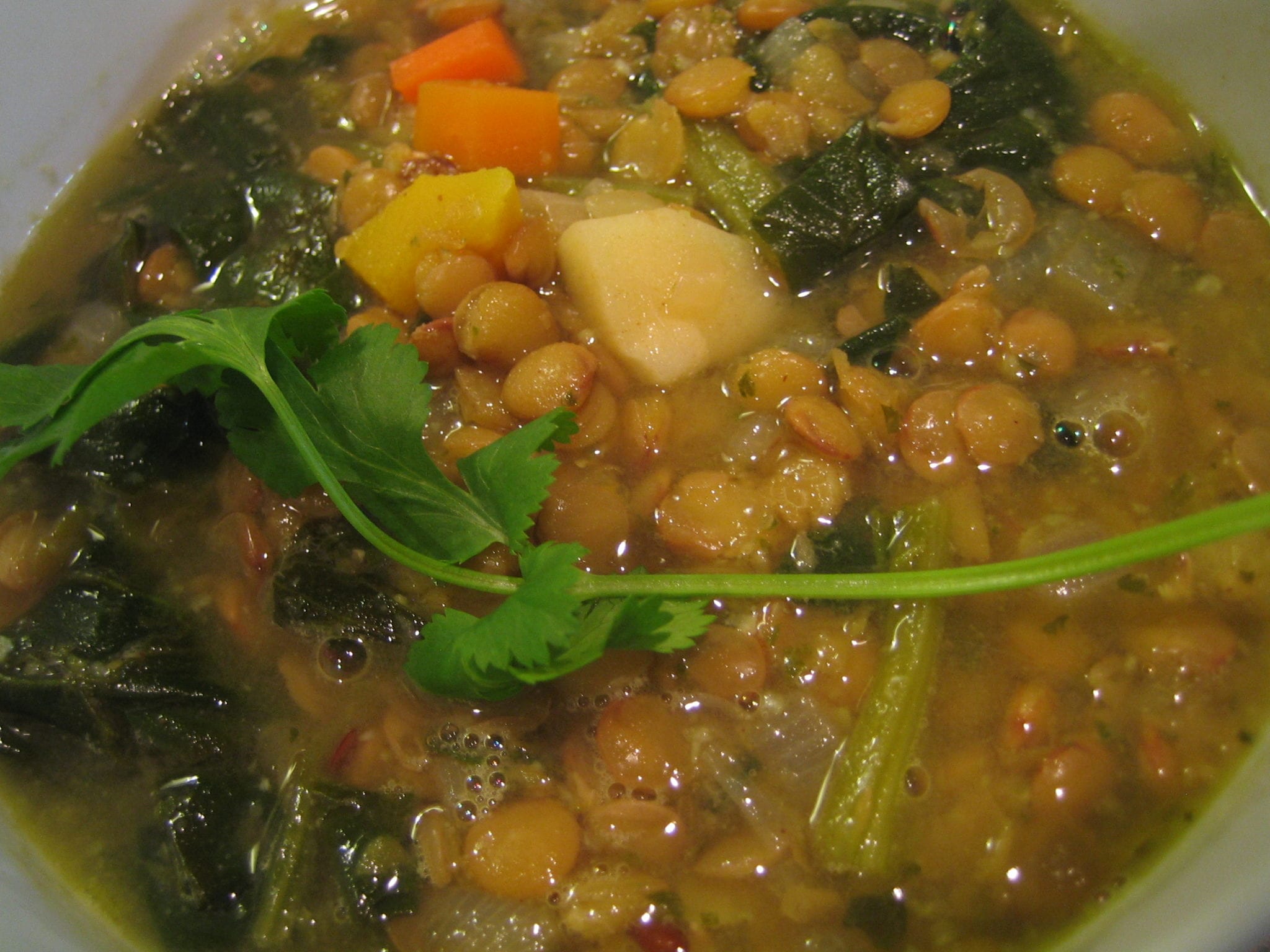 Hearty and Healthy Lentil Soup