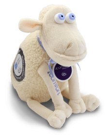 Adopt-a-Sheep for the Fight Against Cancer