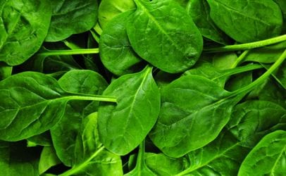 Spinach Recalled Over Listeria Concerns