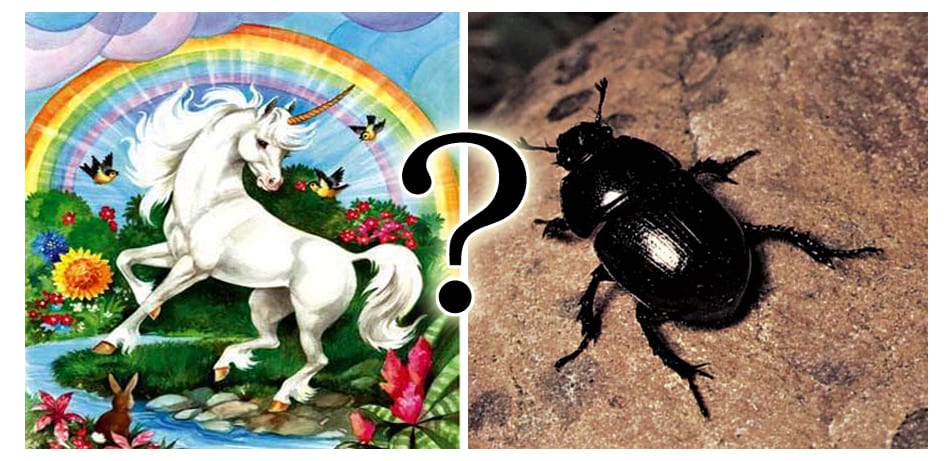 Is Your Life Unicorns or Dung Beetles?