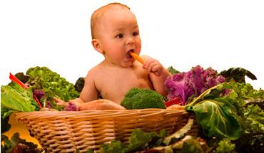 Organic Food & Child Development