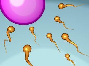 5 Steps to Increasing Sperm Count