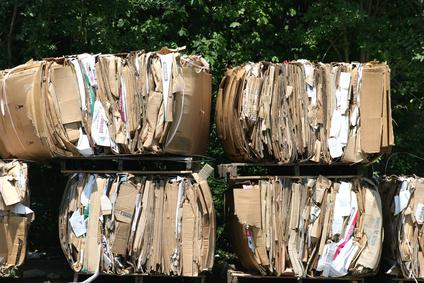 Fun Recycling Facts for Kids